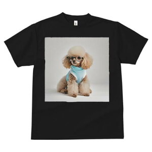 gCv[h TVc  j[NfUCfB[X t@  t vg JWA 킢 lԗp Mtg I Kl gCv[h 