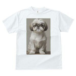 V[Y[ TVc  j[NfUCfB[X t@  t vg JWA 킢 lԗp Mtg I Kl V[Y[