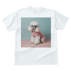 v[h TVc  j[NfUCfB[X t@  t vg JWA 킢 lԗp Mtg I Z[^[ v[h Kl