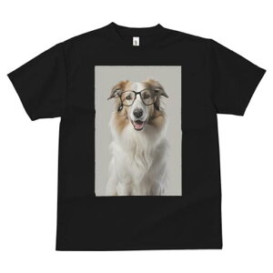 R[ TVc  j[NfUCfB[X t@  t vg JWA 킢 lԗp Mtg I Kl R[