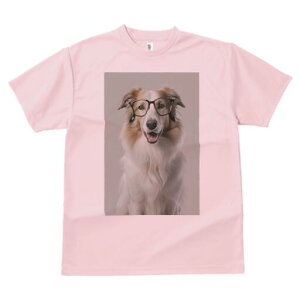 R[ TVc  j[NfUCY LbY t@  t vg JWA 킢 lԗp Mtg I Kl R[