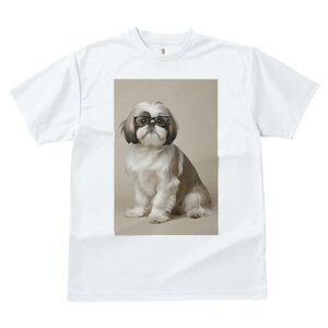 V[Y[ TVc  j[NfUCfB[X t@  t vg JWA 킢 lԗp Mtg I Kl V[Y[