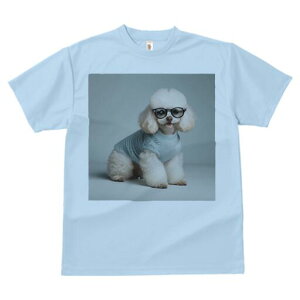 gCv[h TVc  j[NfUCY LbY t@  t vg JWA 킢 lԗp Mtg I Kl gCv[h Z[^[