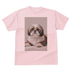 V[Y[ TVc  j[NfUCY LbY t@  t vg JWA 킢 lԗp Mtg I Kl V[Y[ Z[^[