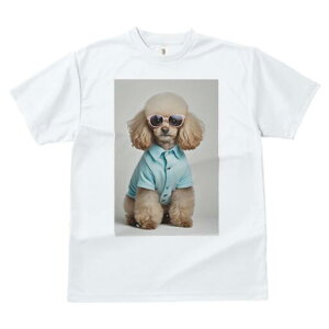 gCv[h TVc  j[NfUCfB[X t@  t vg JWA 킢 lԗp Mtg I TOX gCv[h Vc