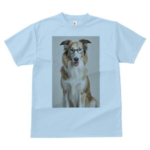 {[_[R[ TVc  j[NfUCY LbY t@  t vg JWA 킢 lԗp Mtg I Kl {[_[R[