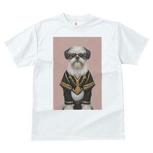 V[Y[ TVc  j[NfUCfB[X t@  t vg JWA 킢 lԗp Mtg I Kl V[Y[ X[c