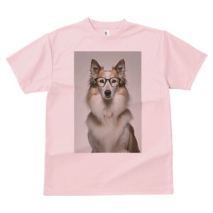 {[_[R[ TVc  j[NfUCY LbY t@  t vg JWA 킢 lԗp Mtg I Kl {[_[R[