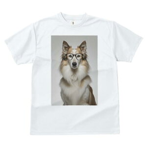 {[_[R[ TVc  j[NfUCfB[X t@  t vg JWA 킢 lԗp Mtg I Kl {[_[R[