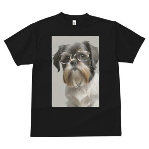 V[Y[ TVc  j[NfUCfB[X t@  t vg JWA 킢 lԗp Mtg I Kl V[Y[