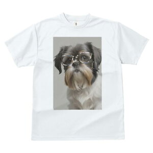 V[Y[ TVc  j[NfUCY LbY t@  t vg JWA 킢 lԗp Mtg I Kl V[Y[