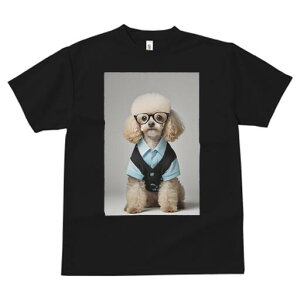 gCv[h TVc  j[NfUCfB[X t@  t vg JWA 킢 lԗp Mtg I Kl gCv[h Vc xXg