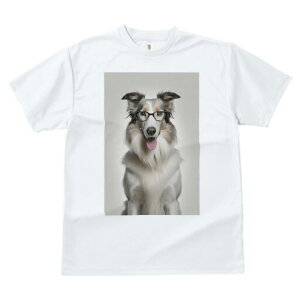 tR[ TVc  j[NfUCfB[X t@  t vg JWA 킢 lԗp Mtg I Kl tR[