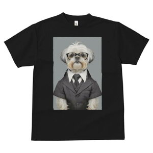 V[Y[ TVc  j[NfUCfB[X t@  t vg JWA 킢 lԗp Mtg I X[c V[Y[ lN^C Kl