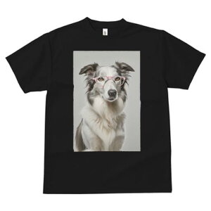 {[_[R[ TVc  j[NfUCfB[X t@  t vg JWA 킢 lԗp Mtg I Kl {[_[R[