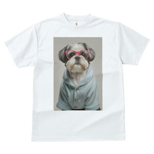 V[Y[ TVc  j[NfUCfB[X t@  t vg JWA 킢 lԗp Mtg I Kl V[Y[ 