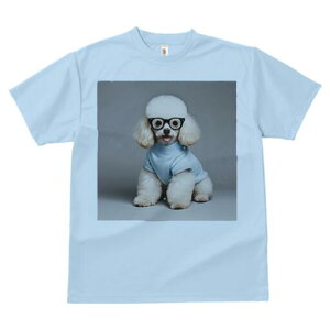 v[h TVc  j[NfUCY LbY t@  t vg JWA 킢 lԗp Mtg I Kl v[h Z[^[