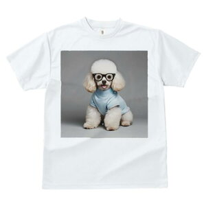 v[h TVc  j[NfUCY LbY t@  t vg JWA 킢 lԗp Mtg I Kl v[h Z[^[