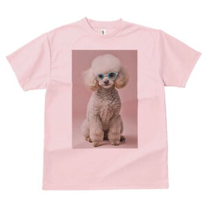 gCv[h TVc  j[NfUCY LbY t@  t vg JWA 킢 lԗp Mtg I Kl gCv[h  L[g