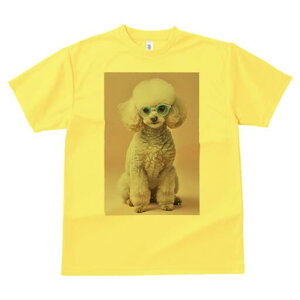 gCv[h TVc  j[NfUCY LbY t@  t vg JWA 킢 lԗp Mtg I Kl gCv[h  L[g