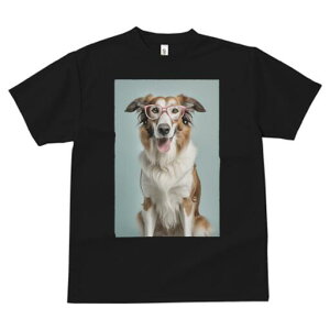 {[_[R[ TVc  j[NfUCfB[X t@  t vg JWA 킢 lԗp Mtg I Kl {[_[R[