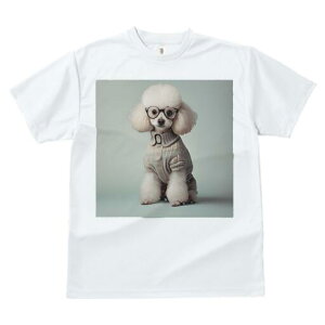 v[h TVc  j[NfUCY LbY t@  t vg JWA 킢 lԗp Mtg I Kl v[h Z[^[