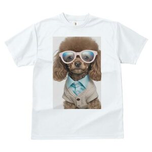 gCv[h TVc  j[NfUCfB[X t@  t vg JWA 킢 lԗp Mtg I Kl gCv[h Vc J[fBK