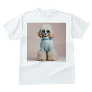 v[h TVc  j[NfUCfB[X t@  t vg JWA 킢 lԗp Mtg I TOX v[h Z[^[