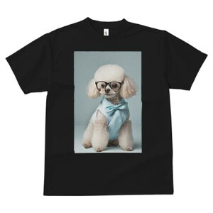 gCv[h TVc  j[NfUCfB[X t@  t vg JWA 킢 lԗp Mtg I Kl gCv[h lN^C 