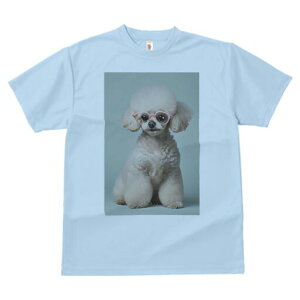 gCv[h TVc  j[NfUCY LbY t@  t vg JWA 킢 lԗp Mtg I Kl gCv[h