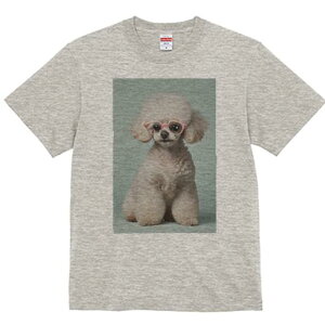 gCv[h TVc  j[NfUCY LbY t@  t vg JWA 킢 lԗp Mtg I Kl gCv[h