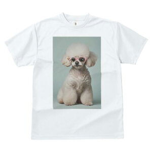 gCv[h TVc  j[NfUCfB[X t@  t vg JWA 킢 lԗp Mtg I Kl gCv[h