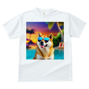 Č TVc  j[NfUCfB[X t@  t vg JWA 킢 lԗp Mtg I TOX Č r[` C [Ă