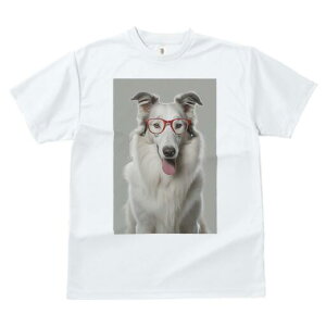 R[ TVc  j[NfUCfB[X t@  t vg JWA 킢 lԗp Mtg I Kl R[