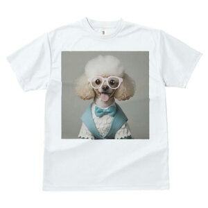 v[h TVc  j[NfUCfB[X t@  t vg JWA 킢 lԗp Mtg I Kl v[h lN^C WPbg