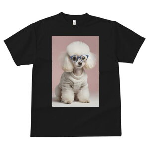 gCv[h TVc  j[NfUCY LbY t@  t vg JWA 킢 lԗp Mtg I Kl gCv[h Z[^[