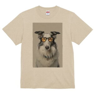 {[_[R[ TVc  j[NfUCY LbY t@  t vg JWA 킢 lԗp Mtg I Kl {[_[R[