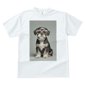 V[Y[ TVc  j[NfUCfB[X t@  t vg JWA 킢 lԗp Mtg I Kl V[Y[