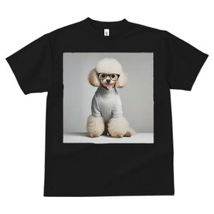 gCv[h TVc  j[NfUCY LbY t@  t vg JWA 킢 lԗp Mtg I Kl gCv[h Z[^[