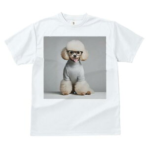 gCv[h TVc  j[NfUCfB[X t@  t vg JWA 킢 lԗp Mtg I Kl gCv[h Z[^[