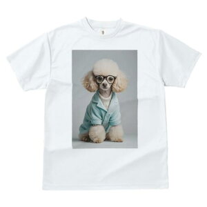 gCv[h TVc  j[NfUCY LbY t@  t vg JWA 킢 lԗp Mtg I Kl gCv[h WPbg Z[^[