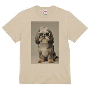 V[Y[ TVc  j[NfUCY LbY t@  t vg JWA 킢 lԗp Mtg I Kl V[Y[