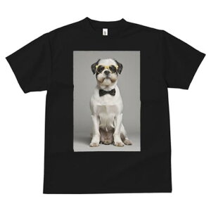 V[Y[ TVc  j[NfUCfB[X t@  t vg JWA 킢 lԗp Mtg I lN^C V[Y[ ዾ