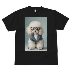 gCv[h TVc  j[NfUCfB[X t@  t vg JWA 킢 lԗp Mtg I Kl gCv[h WPbg Z[^[