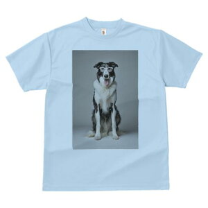 {[_[R[ TVc  j[NfUCY LbY t@  t vg JWA 킢 lԗp Mtg I Kl {[_[R[