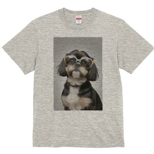 V[Y[ TVc  j[NfUCY LbY t@  t vg JWA 킢 lԗp Mtg I Kl V[Y[