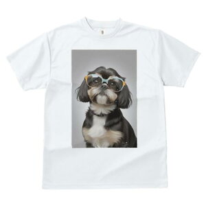 V[Y[ TVc  j[NfUCY LbY t@  t vg JWA 킢 lԗp Mtg I Kl V[Y[