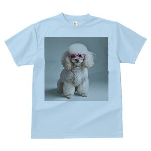 v[h TVc  j[NfUCY LbY t@  t vg JWA 킢 lԗp Mtg I Kl v[h