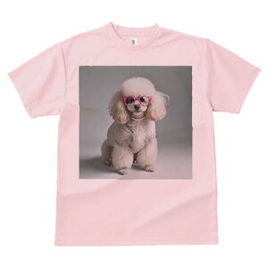 v[h TVc  j[NfUCY LbY t@  t vg JWA 킢 lԗp Mtg I Kl v[h