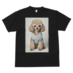 gCv[h TVc  j[NfUCfB[X t@  t vg JWA 킢 lԗp Mtg I Kl gCv[h Z[^[